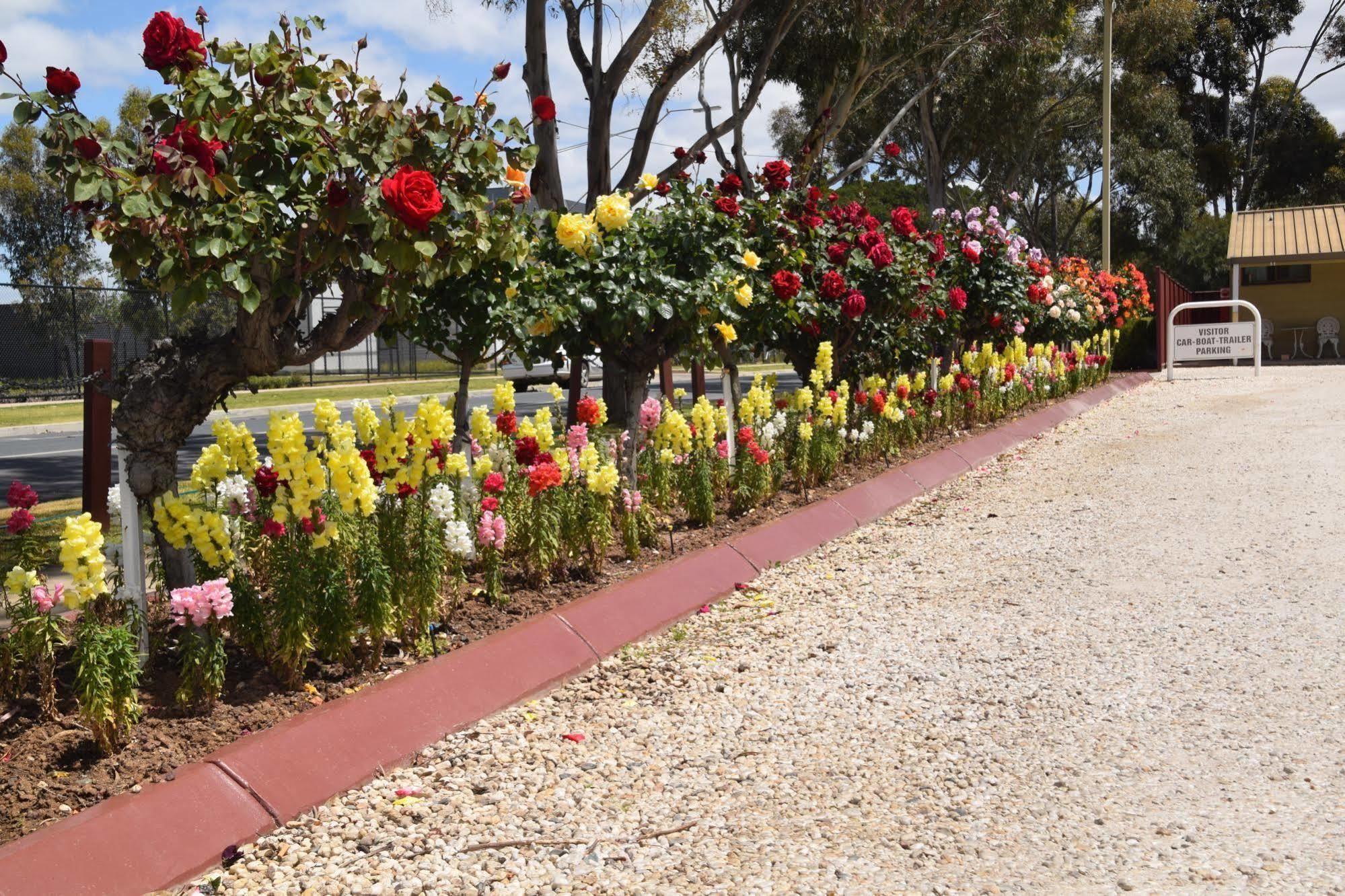 Big River Motel Echuca Ngoại thất bức ảnh